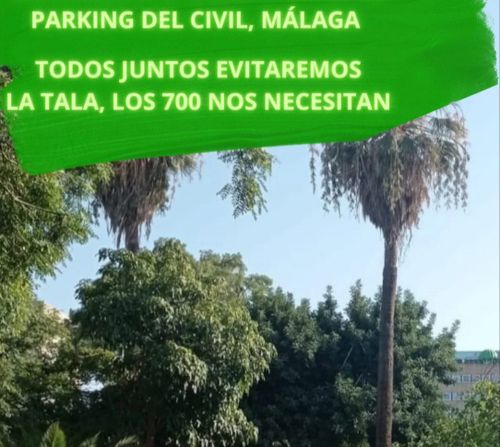 Asamblea movimiento ciudadano por la defensa de los 700 árboles del Civil y por una alternativa al Macrohospital